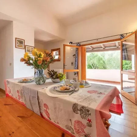 Cozy 150m From Pittulongu * Olbia